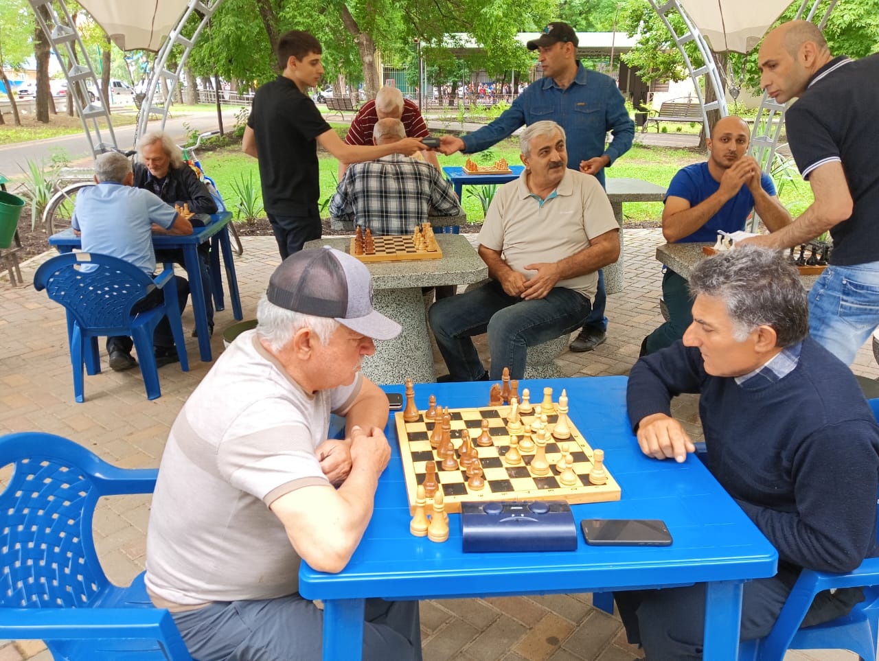 Ливадийский парк шахматы